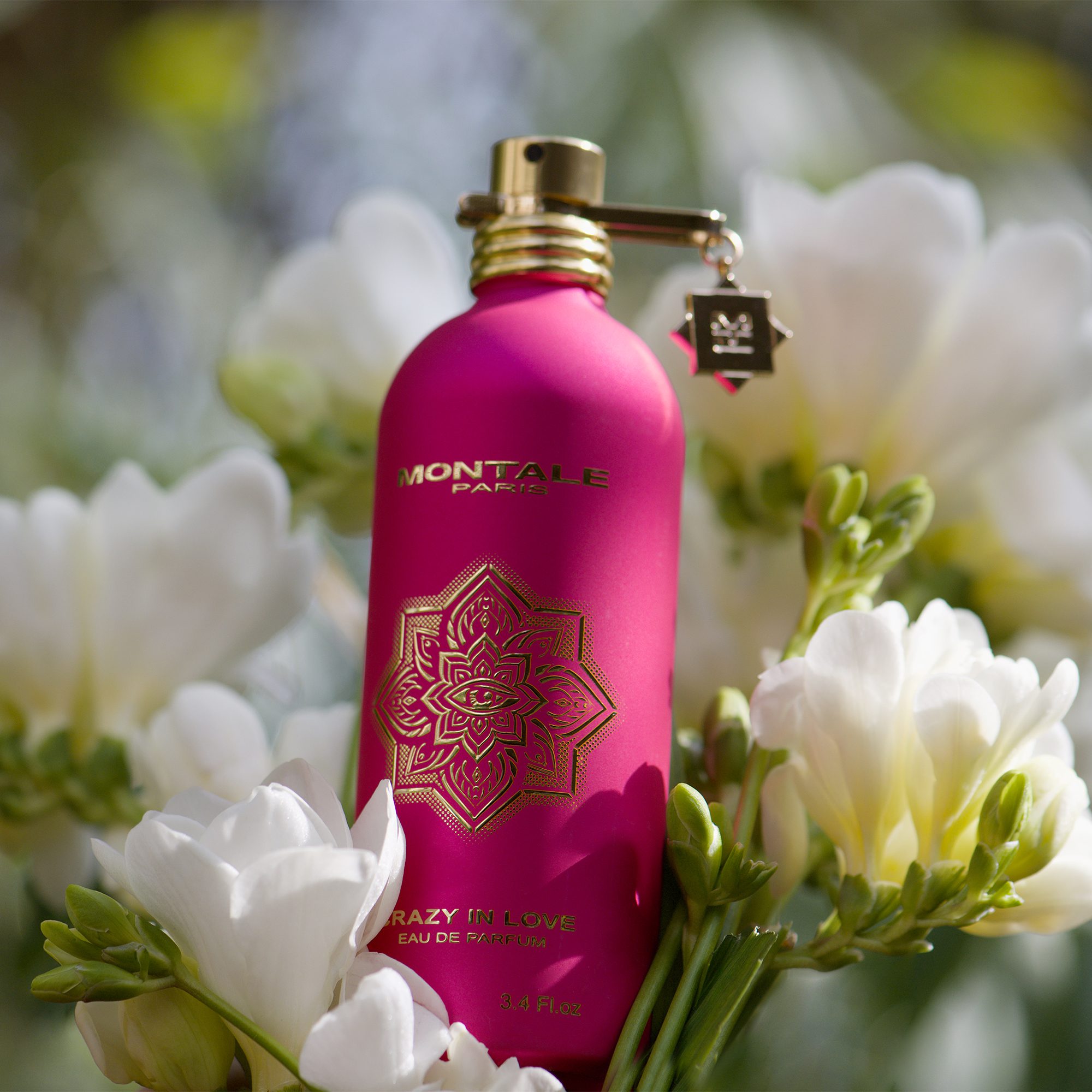 Montale Paris